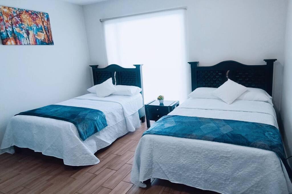Secure, Central And Quiet Apartment Work Or Travel 멕시코 시 외부 사진